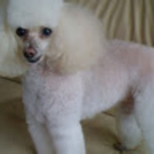 Meet your Posher, Rita